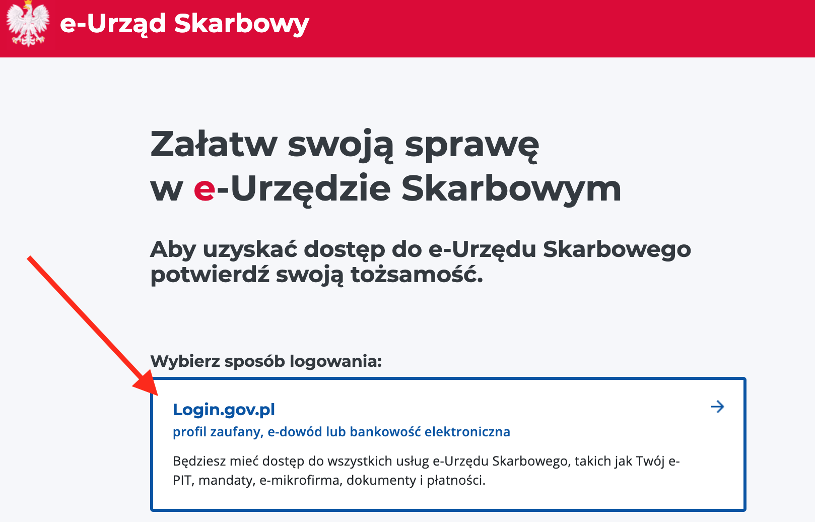 Tax declaration in Poland